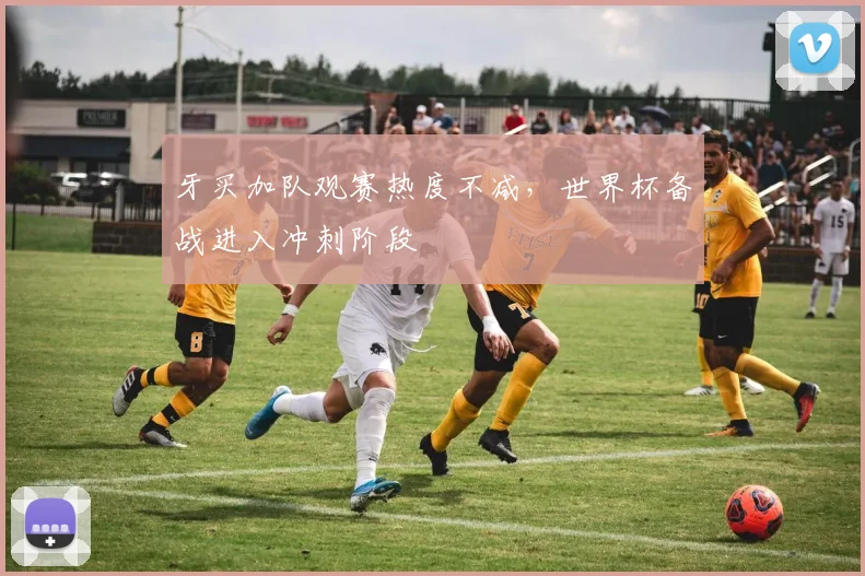 牙买加队观赛热度不减，世界杯备战进入冲刺阶段