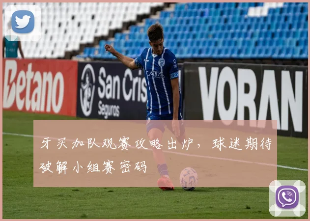 牙买加队观赛攻略出炉，球迷期待破解小组赛密码